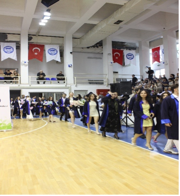 Picture13.jpg (96 KB)